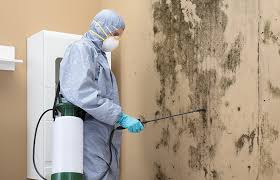 Best Mold Prevention Services  in Scarsdale, NY